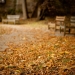 fall benches - england