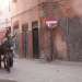 mule in marrakesh