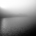 navarro river fog