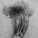 sea palm bouquet