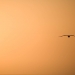 departure