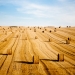 wheat rolls - france