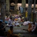 shivaratri, all night devotion
