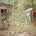 jewish cemetery