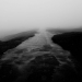 fog road