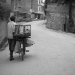 bicycle vendor - apples