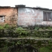 walls