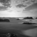 forms