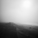lone walker