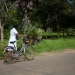 girl walking her bike