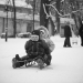 winter sledding while mothers watch